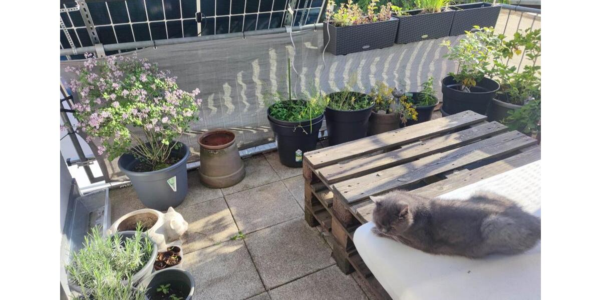 Etagenwohnung Darmstadt Arheilgen - 3 Zimmer, 67 m&sup2;, 290.000&euro; | Angebot:25399078