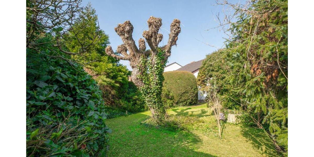 Einfamilienhaus Dietzenbach Hexenberg - 5 Zimmer, 127 m&sup2;, 659.000&euro; | Angebot:26053277