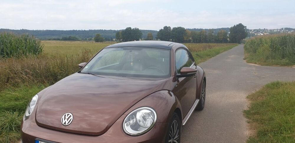 Beetle