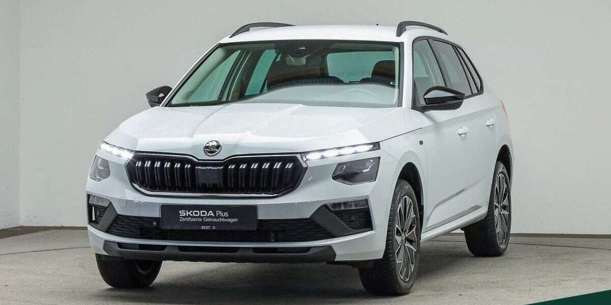 Skoda Kamiq 26.400 km 27.349 &euro; Mühlheim a. Main 63165