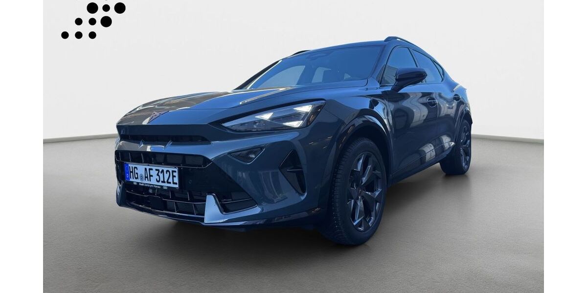 Cupra Formentor 6.000 km 41.900 &euro; Königstein 61462