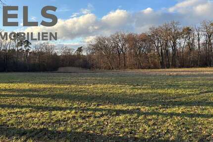 Grundstück Dreieich - 179.000&euro; | Angebot:24719822