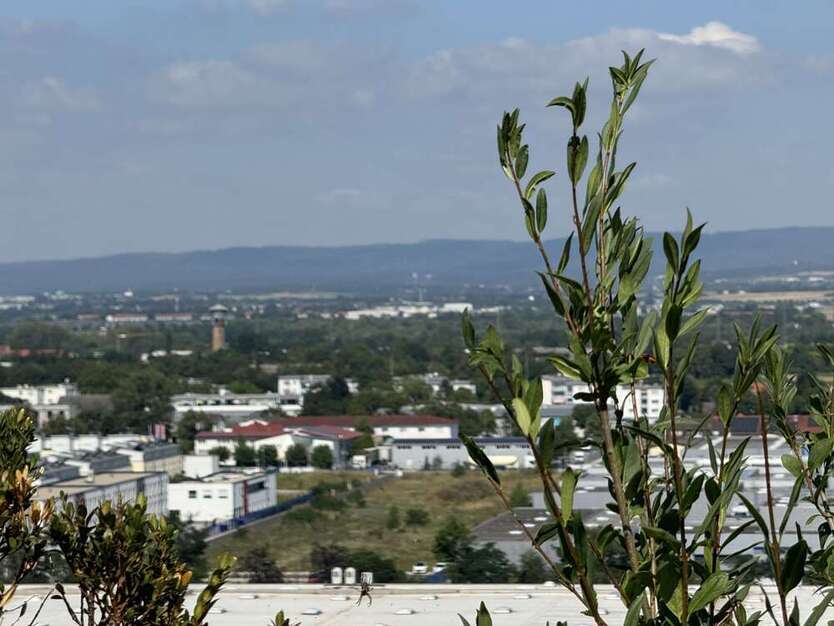 Wohnung zum Kaufen in Hochheim a. Main 429.000 € 187 m²