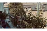 Etagenwohnung Frankfurt am Main Bornheim - 4 Zimmer, 111 m&sup2;, 750.000&euro; | Angebot:27454415