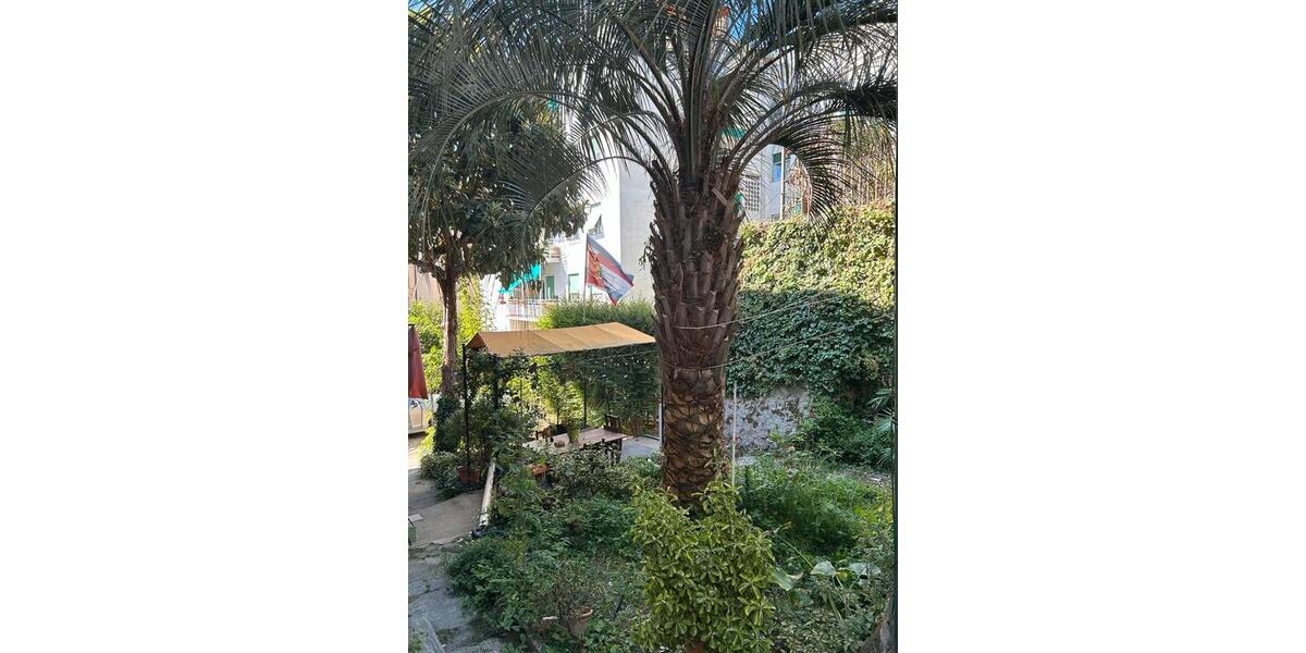 Mehrfamilienhaus, Wohnhaus Frankfurt am Main Niederrad - 10 Zimmer, 700 m&sup2;, 720.000&euro; | Angebot:24852729