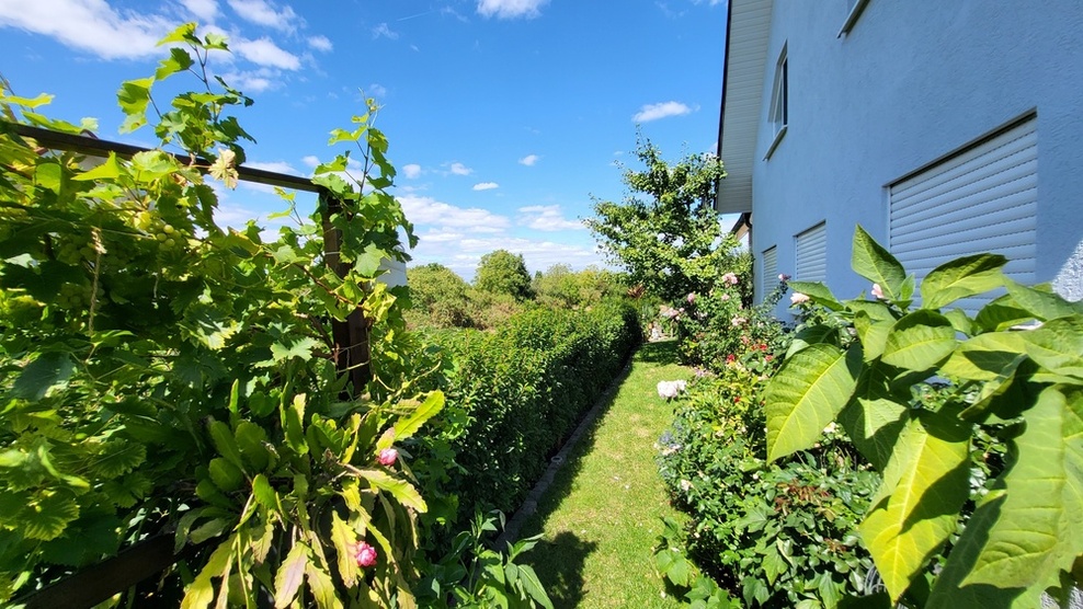 moderne DHH mit ELW im 