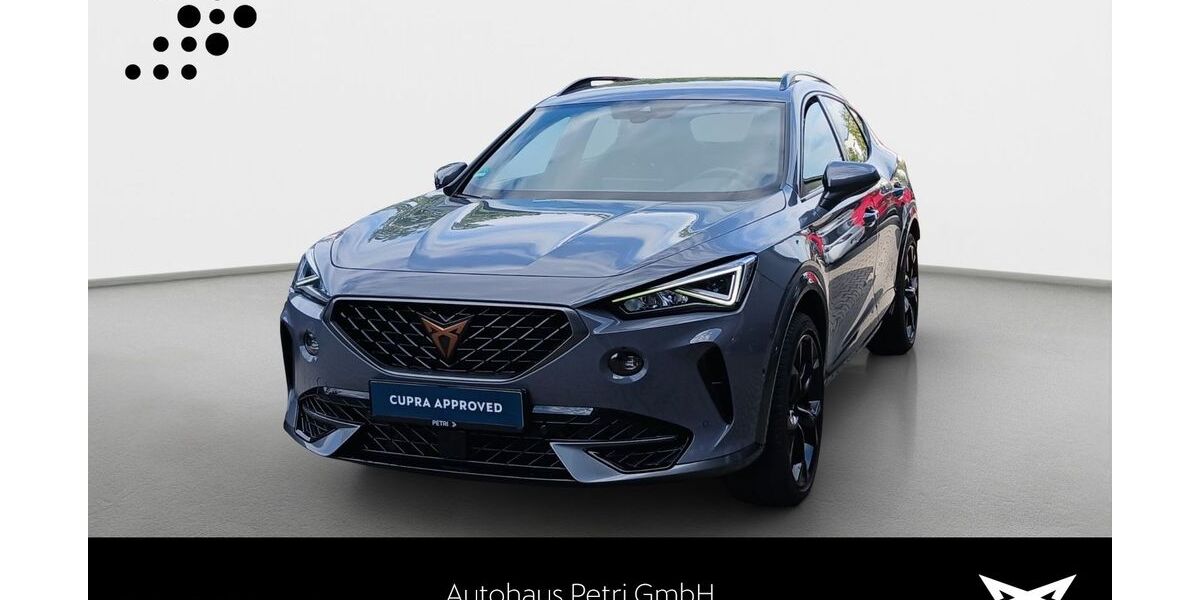 Cupra Formentor 48.944 km 27.290 &euro; Hofheim-Diedenbergen 65719