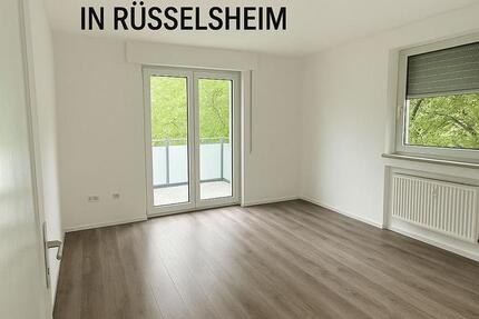 3 Zimmer Wohnung zimmer