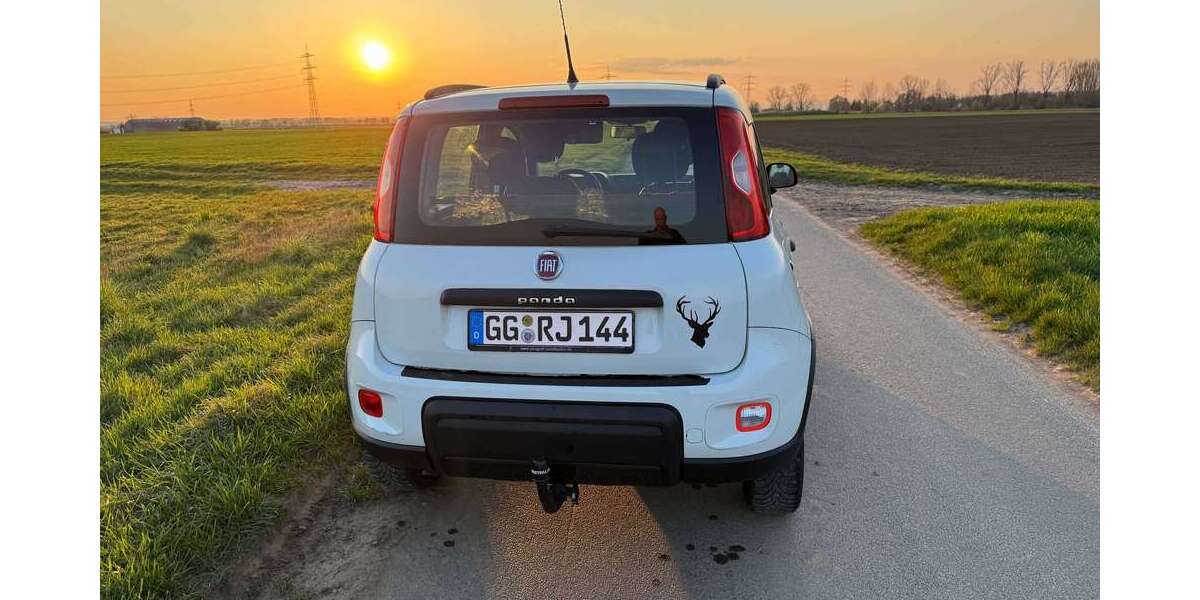 Fiat Panda 139.800 km 6.499 &euro; Groß-Gerau, Stadt 64521
