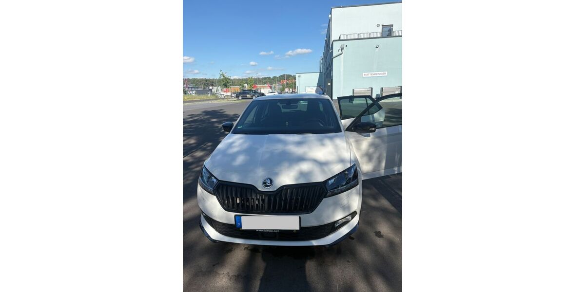 Skoda Fabia 99.666 km 12.200 &euro; Kahl 63796
