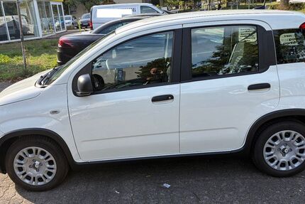 Fiat Panda 1.300 km 12.800 &euro; Frankfurt am Main 60599