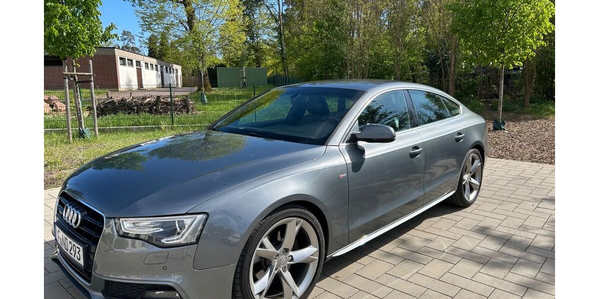 Audi A5 310.000 km 9.800 &euro; Kahl am Main 63796