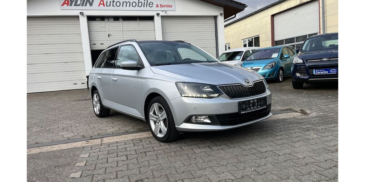 Skoda Fabia 160.000 km 8.100 &euro; Hanau-Kleinauheim 63456