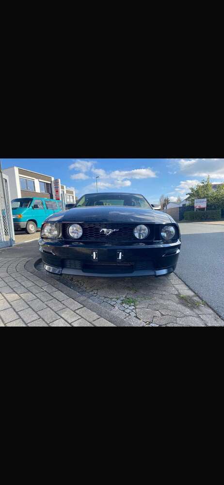 Mustang