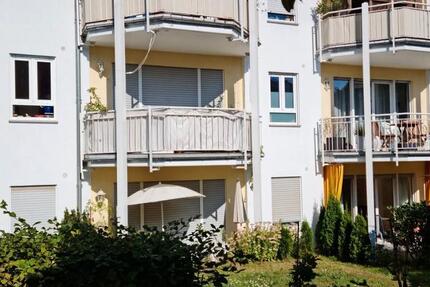 2 Zimmer Wohnung in Bad Homburg zimmer