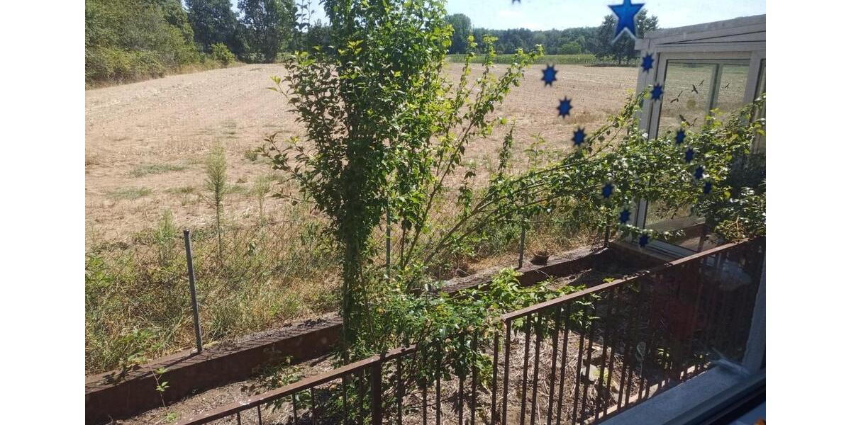 Doppelhaushälfte Rodenbach - 4 Zimmer, 90 m&sup2;, 295.000&euro; | Angebot:27134582