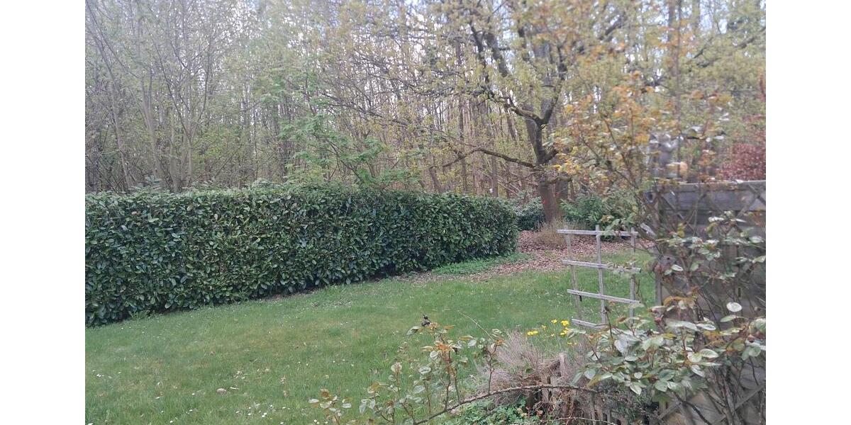 Erdgeschoßwohnung Usingen - 3 Zimmer, 84 m&sup2;, 800&euro; | Angebot:26409330
