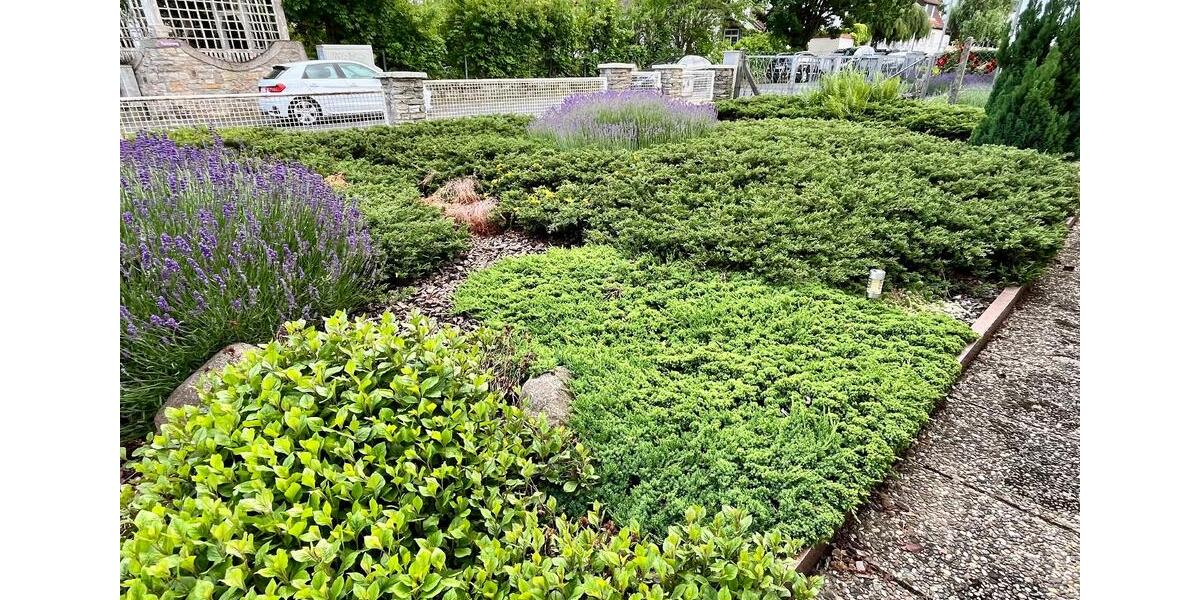 Haus 1-2 Familien, 8 Zimmer,schönem Garten sowie Parkplätze 8 zimmer