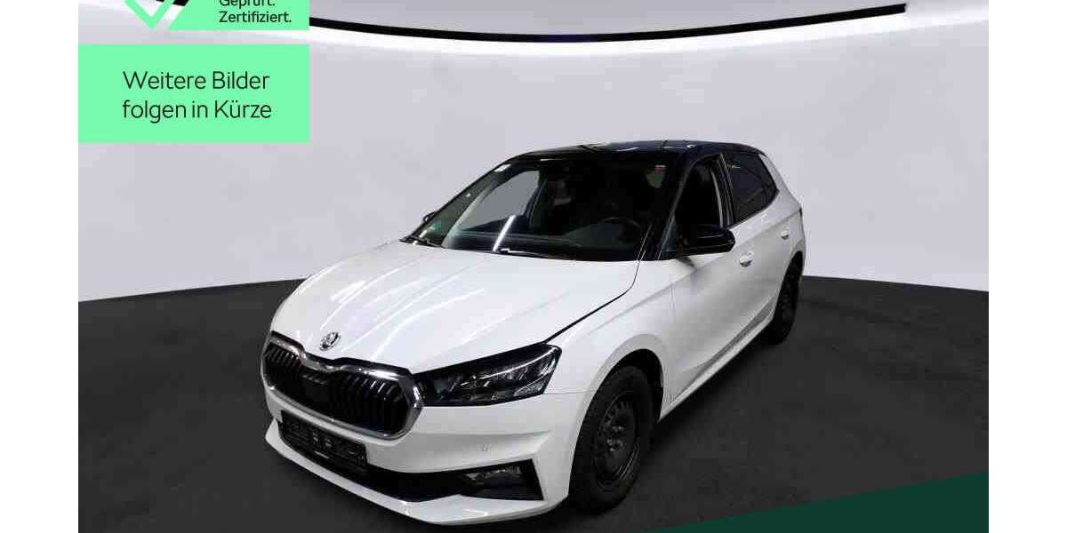 Skoda Fabia 18.100 km 17.449 &euro; Mühlheim a. Main 63165