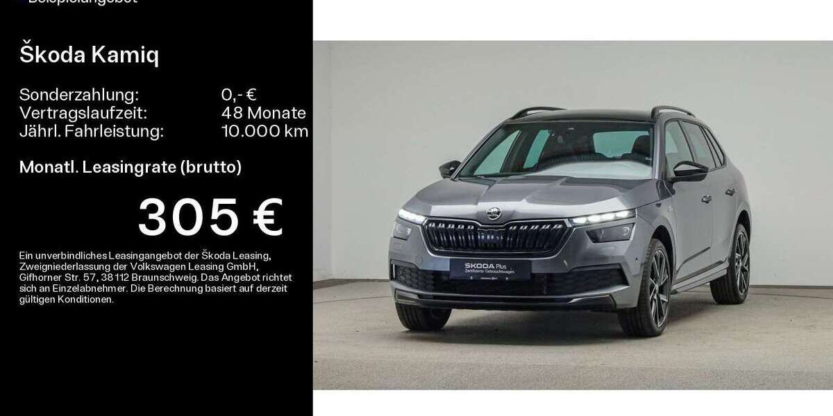 Skoda Kamiq 87.900 km 21.888 &euro; Mühlheim a. Main 63165