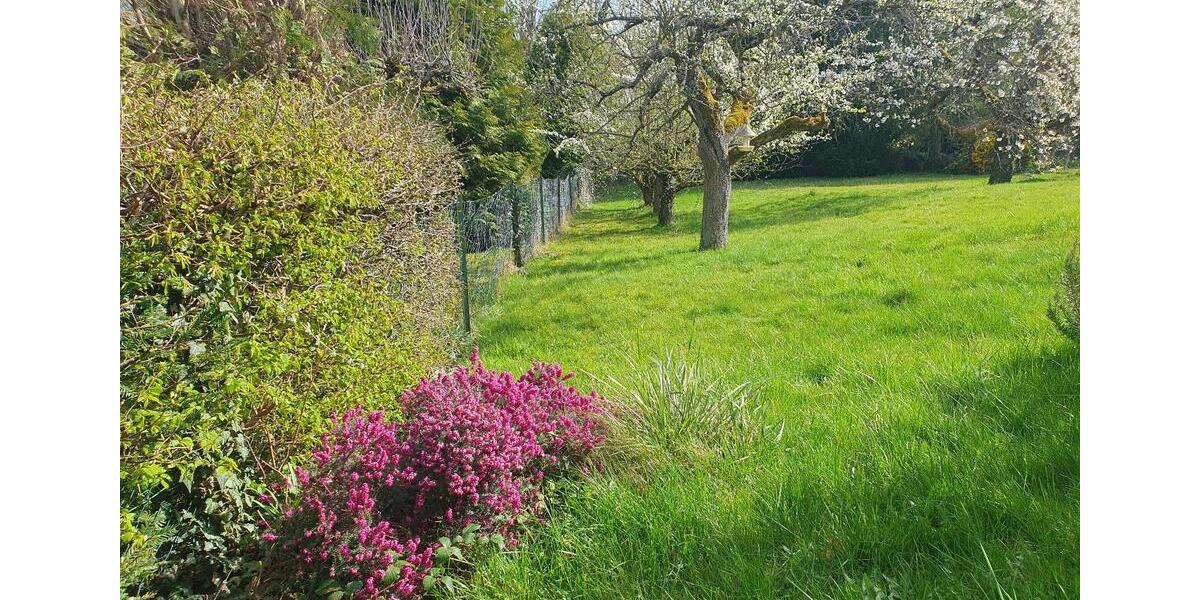 Einfamilienhaus Kelkheim (Taunus) - 795.000&euro; | Angebot:27040118