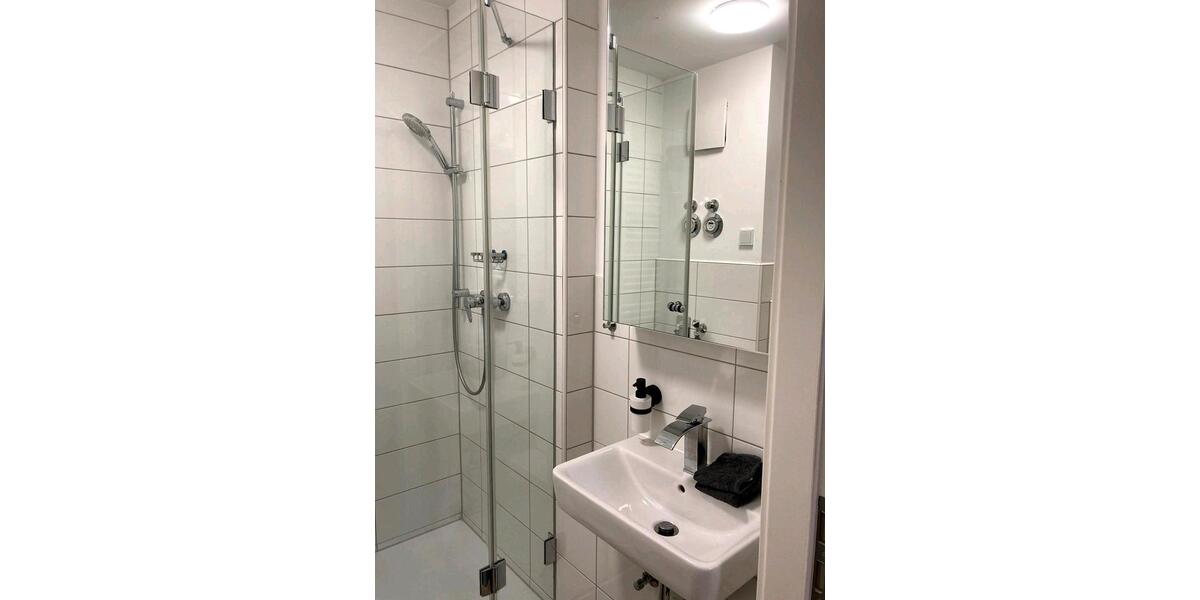 Sanierte 1-Zimmer-Wohnung mit Stellplatz für Kapitalanleger 1 zimmer