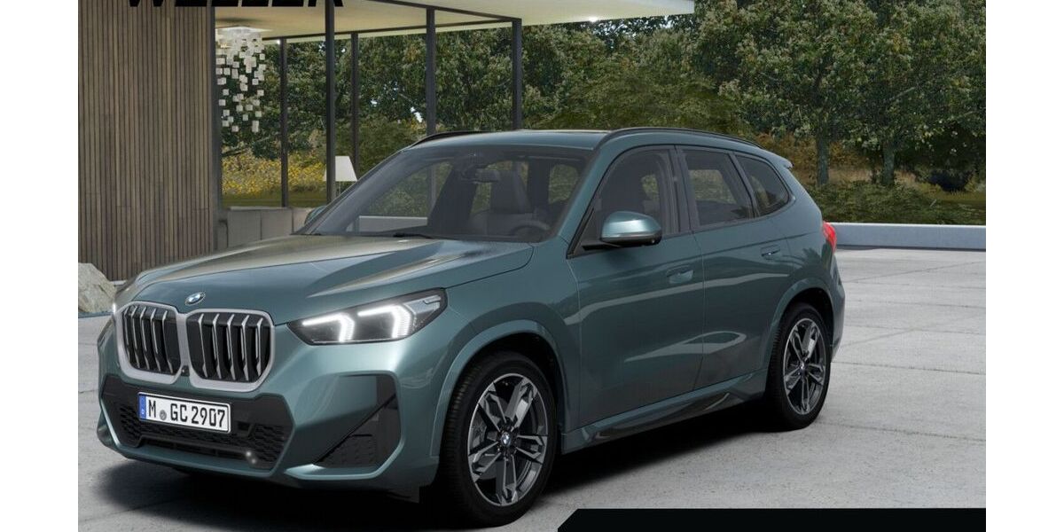 BMW X1 9.043 km 38.880 &euro; Kronberg 61476