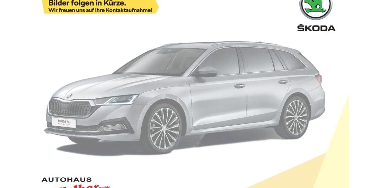 Skoda Octavia 3.500 km 48.900 &euro; Weiterstadt 64331