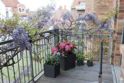 Wohnung Hanau Groß-Steinheim - 1 Zimmer, 83 m&sup2;, 790&euro; | Angebot:25614914