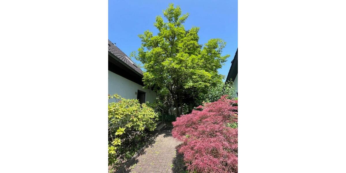 Einfamilienhaus 8 zimmer