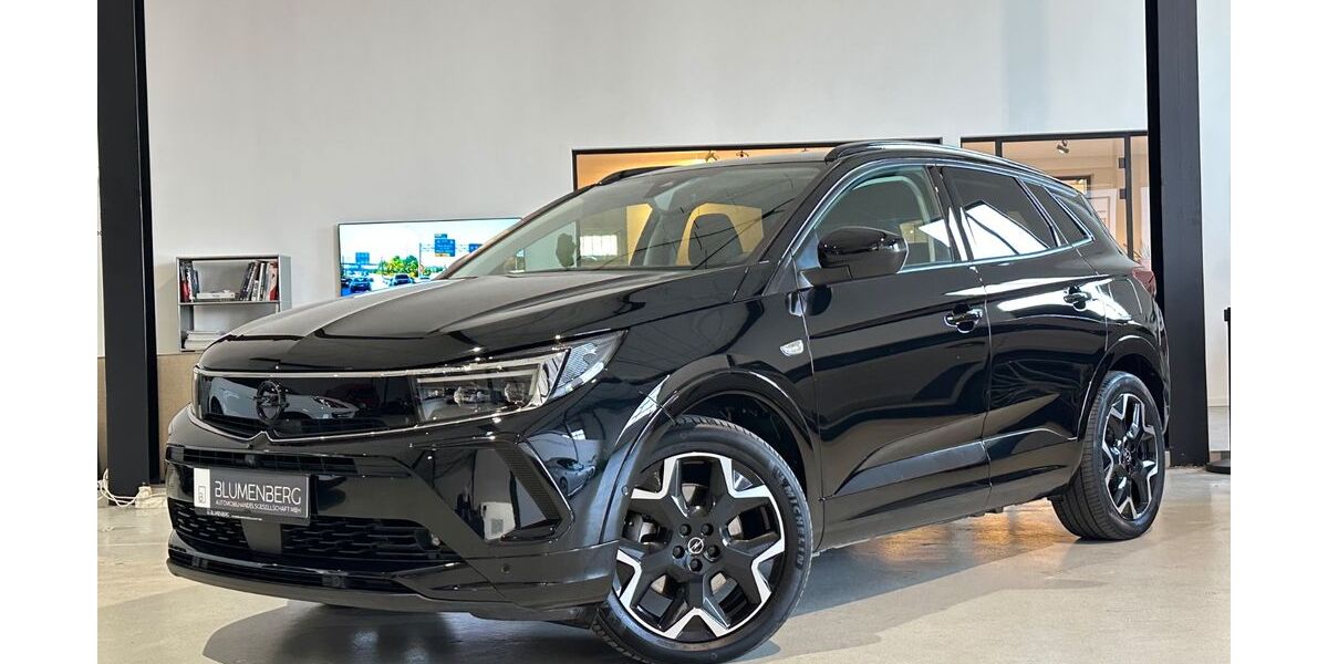 Opel Grandland (X) 15.608 km 25.980 &euro; Rodgau-Weiskirchen/nähe Frankfurt am Main 63110