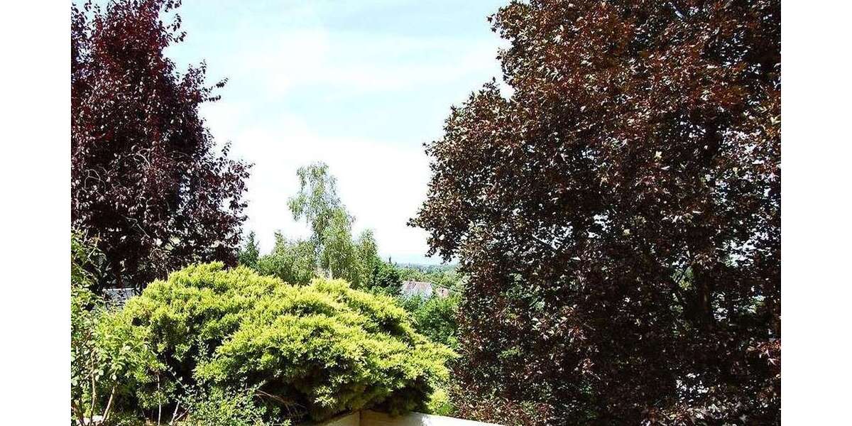 Etagenwohnung Dreieich - 2.5 Zimmer, 118 m&sup2;, 425.000&euro; | Angebot:26422773