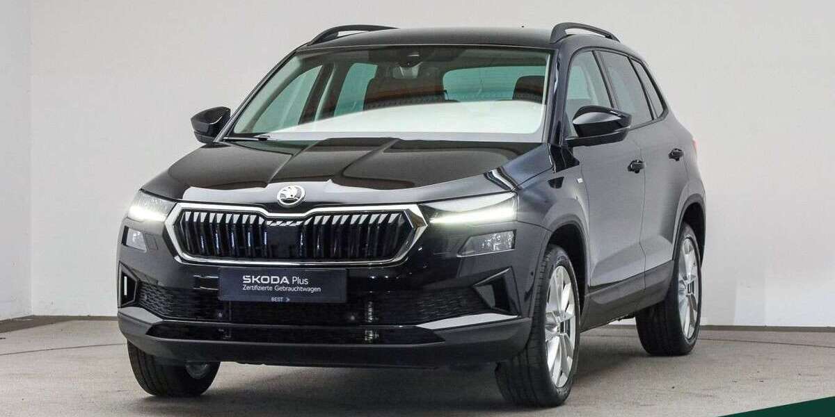 Skoda Karoq 74.200 km 24.888 &euro; Mühlheim a. Main 63165