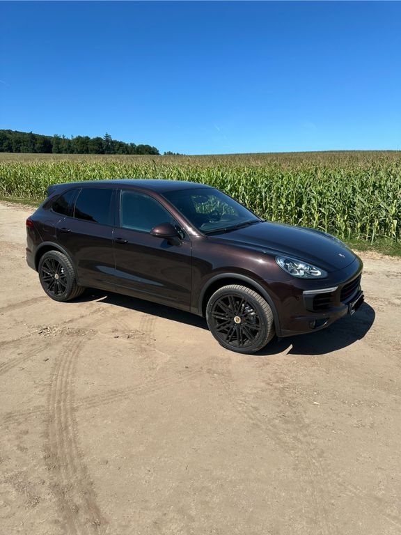 Cayenne