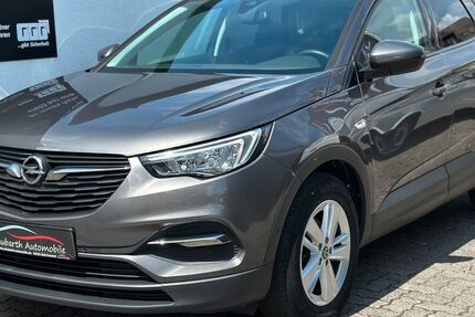 Opel Grandland (X) 125.000 km 14.880 &euro; Mainhausen 63533