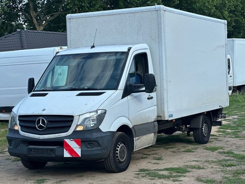 Sprinter