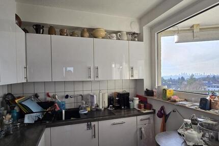 Schöne 3-Zi.-Wohnung mit Blick auf die Skyline 3 zimmer