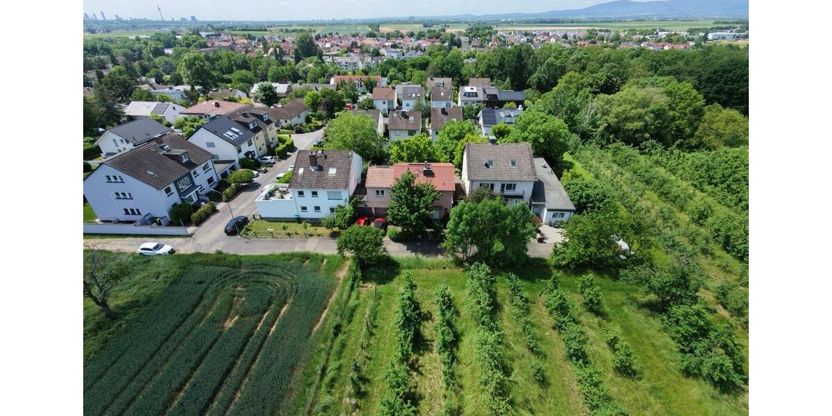 Einfamilienhaus Frankfurt am Main Bonames - 6 Zimmer, 230 m&sup2;, 950.000&euro; | Angebot:27233686