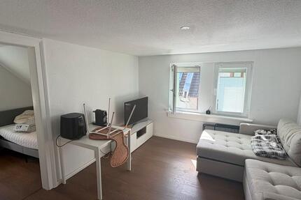 Wohnung Frankfurt am Main Nied - 1 Zimmer, 20 m&sup2;, 650&euro; | Angebot:27567034