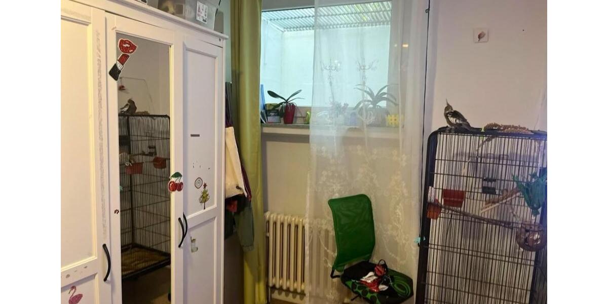 Etagenwohnung Frankfurt am Main Nord-West - 4 Zimmer, 99 m&sup2;, 1.600&euro; | Angebot:24611187