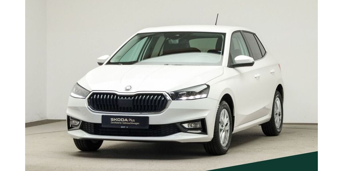 Skoda Fabia 55.800 km 16.888 &euro; Mühlheim 63165