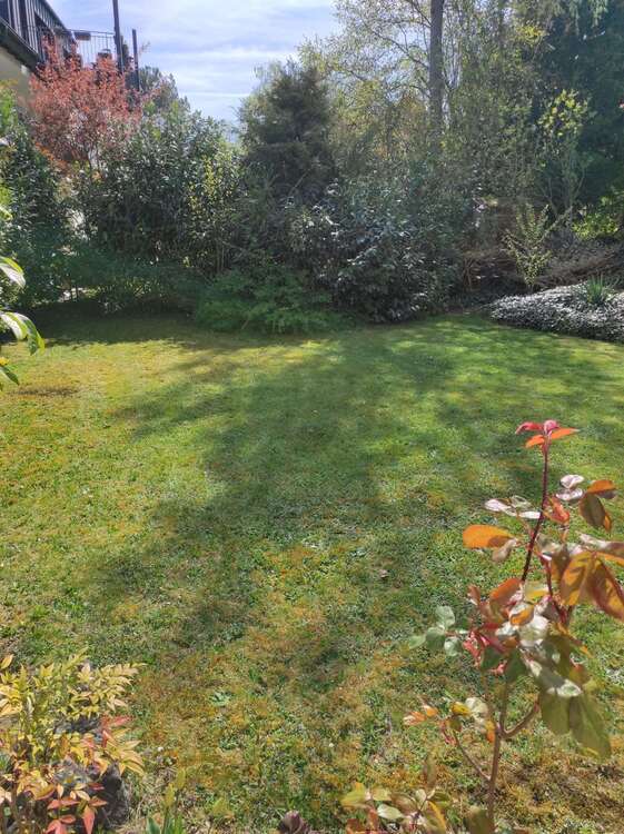 Haus zum Kaufen in Wiesbaden 835.000 € 240 m²