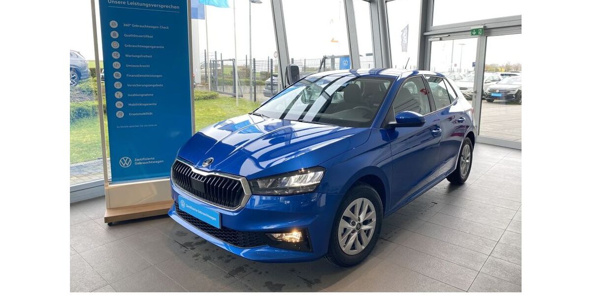 Skoda Fabia 1.100 km 20.450 &euro; Bad Vilbel 61118