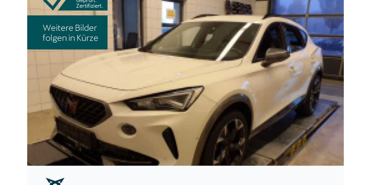 Cupra Formentor 38.851 km 26.930 € Hofheim-Diedenbergen 65719