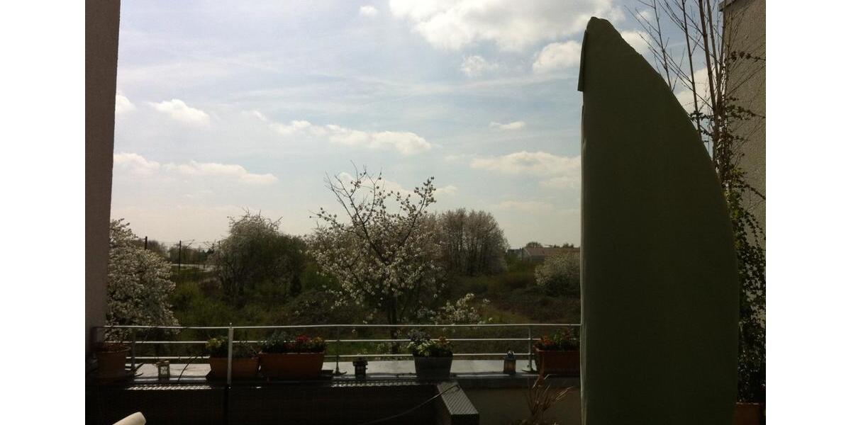 Reihenhaus Frankfurt am Main Nord-Ost - 4 Zimmer, 125 m&sup2;, 1.100.000&euro; | Angebot:24433269