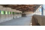 Gewerbeobjekt Schöneck - 1.750&euro; | Angebot:26623599