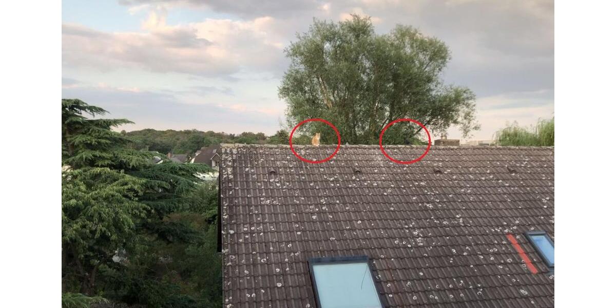 Dachgeschoßwohnung Rüsselsheim am Main - 2 Zimmer, 62 m&sup2;, 220.000&euro; | Angebot:17453221