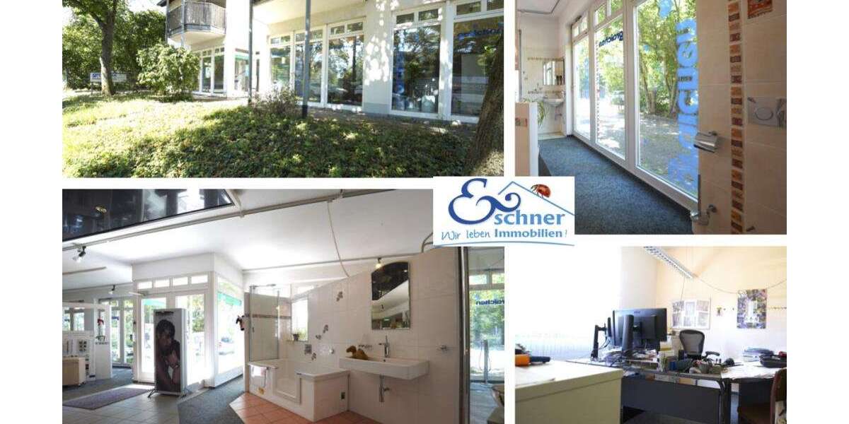 Einzelhandel in Hofheim-Diedenbergen 498.500 € 158.48 m² zimmer