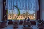 Etagenwohnung Steinbach (Taunus) - 3 Zimmer, 79 m&sup2;, 315.000&euro; | Angebot:26017481