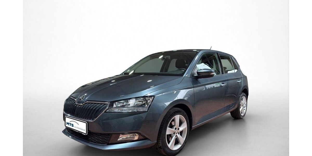 Skoda Fabia 49.184 km 10.650 &euro; Friedberg 61169